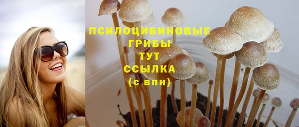 a pvp Коряжма