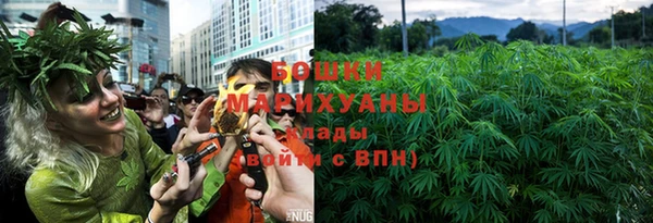 a pvp Коряжма