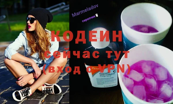 a pvp Коряжма
