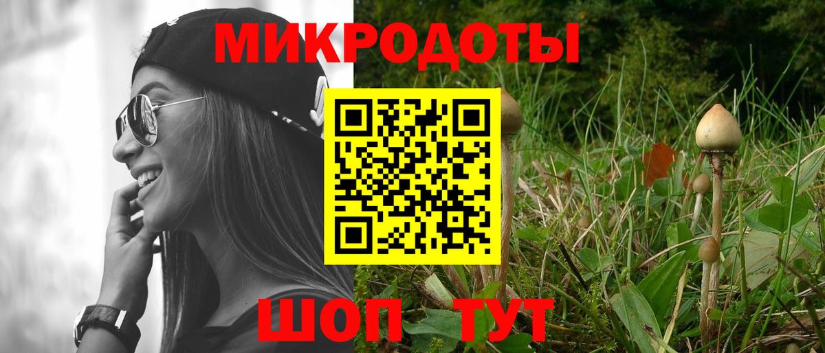 Галлюциногенные грибы Cubensis Муравленко